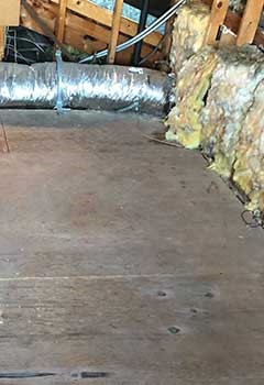 Crawlspace Mold Removal, Hidden Hills