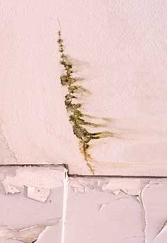Drywall Ceiling Repair Glendale