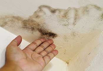 Drywall Ceiling Repair Near Glendale | Drywall Repair & Remodeling Los Angeles Drywall Ceiling Repair Near Glendale | Drywall Repair & Remodeling Los Angeles