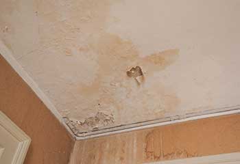 Residential Mold Remediation Near Eagle Rock | Drywall Repair & Remodeling Los Angeles Residential Mold Remediation Near Eagle Rock | Drywall Repair & Remodeling Los Angeles