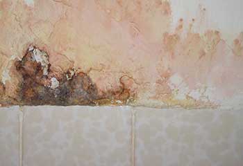 Water Damage Restoration Near Altadena | Drywall Repair & Remodeling Los Angeles Water Damage Restoration Near Altadena | Drywall Repair & Remodeling Los Angeles