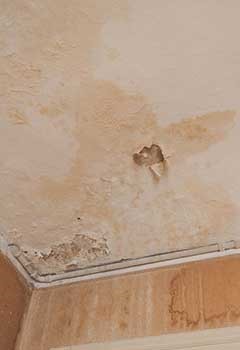 Residential Mold Remediation Eagle Rock