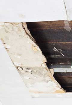 Damage Restoration, Monterey Park
